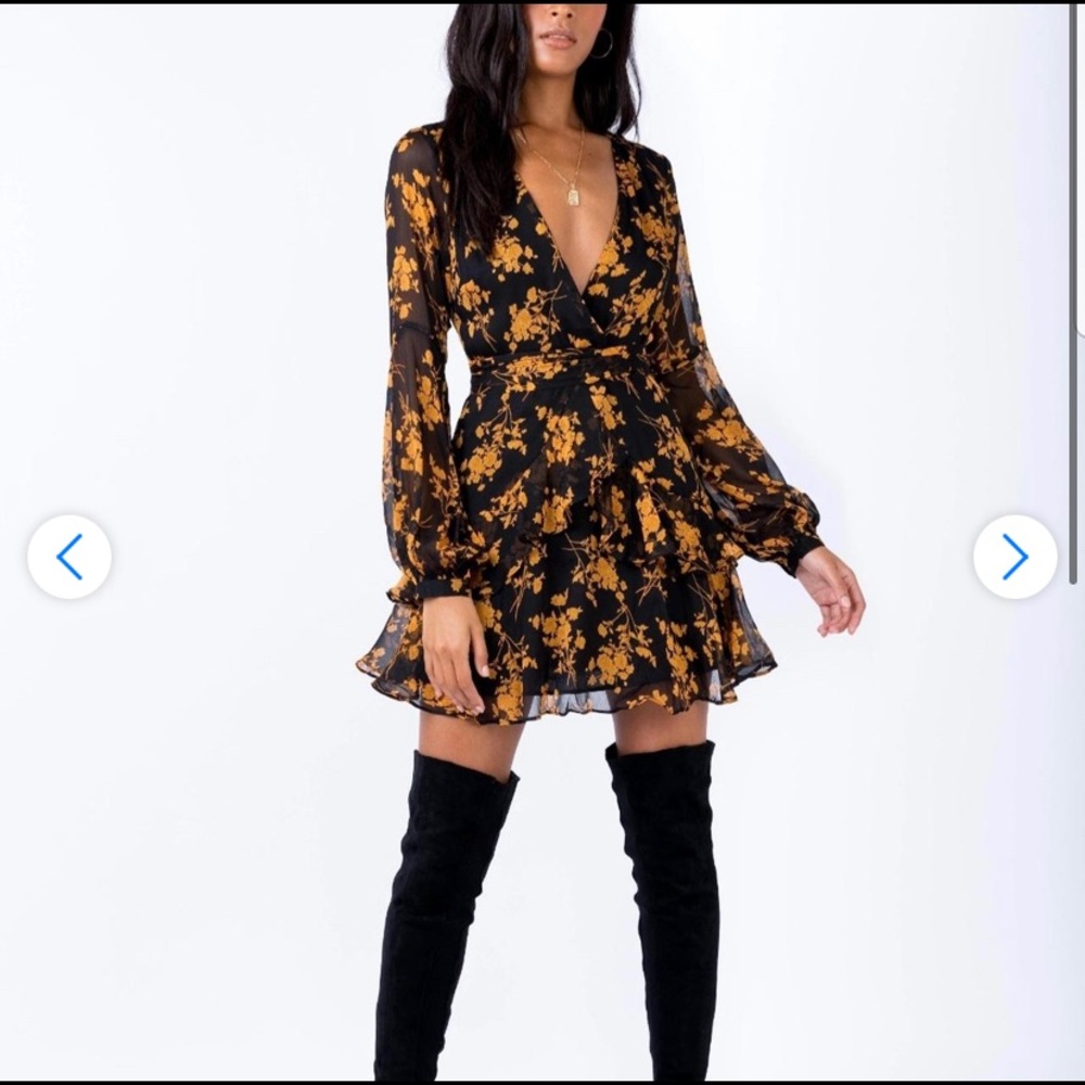 Princess Polly long sleeve ruffle dress size 2